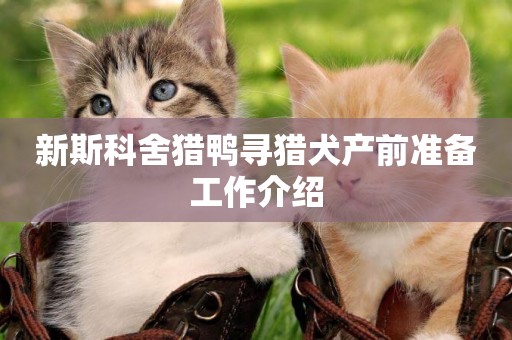 新斯科舍獵鴨尋獵犬產前準備工作介紹