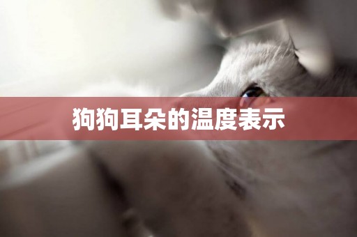 狗狗耳朵的溫度表示