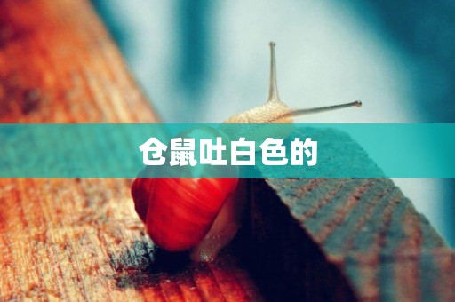 倉鼠吐白色的