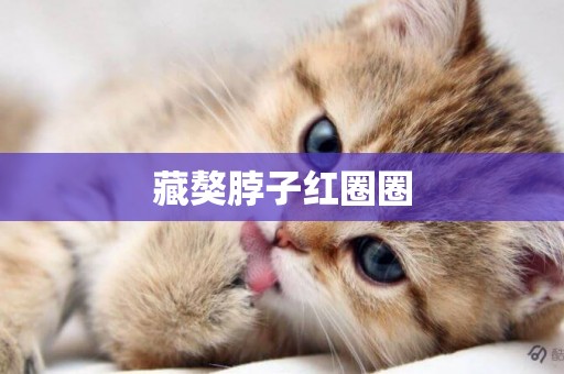 藏獒脖子紅圈圈