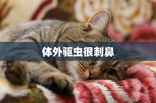 體外驅蟲很刺鼻
