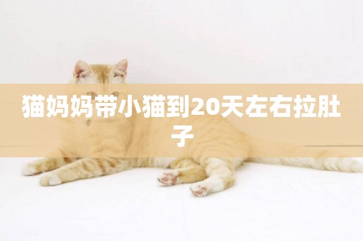貓媽媽帶小貓到20天左右拉肚子