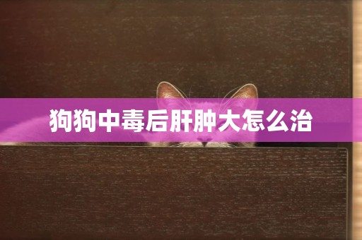 狗狗中毒后肝腫大怎么治