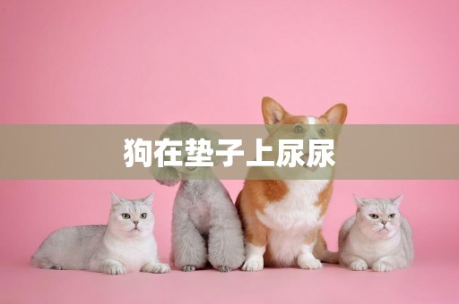 狗在墊子上尿尿