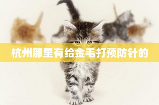 杭州那里有給金毛打預防針的