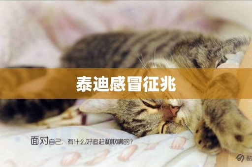 泰迪感冒征兆