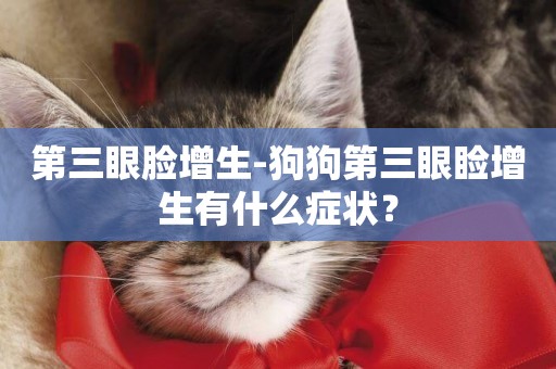 第三眼臉增生-狗狗第三眼瞼增生有什么癥狀？