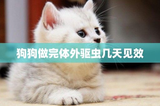 狗狗做完體外驅蟲幾天見效