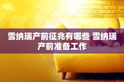 雪納瑞產前征兆有哪些 雪納瑞產前準備工作