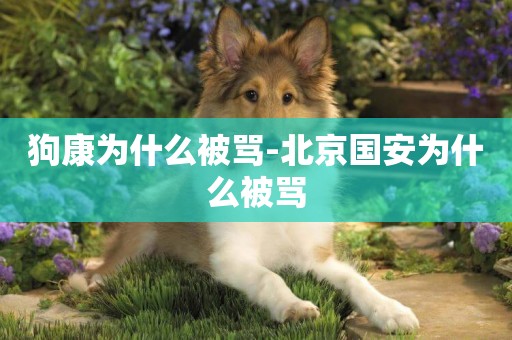 狗康為什么被罵-北京國安為什么被罵