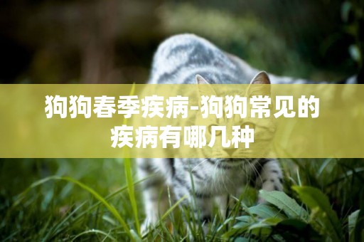 狗狗春季疾病-狗狗常見的疾病有哪幾種