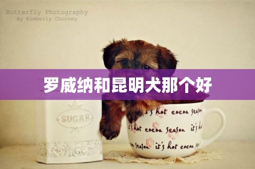 羅威納和昆明犬那個好