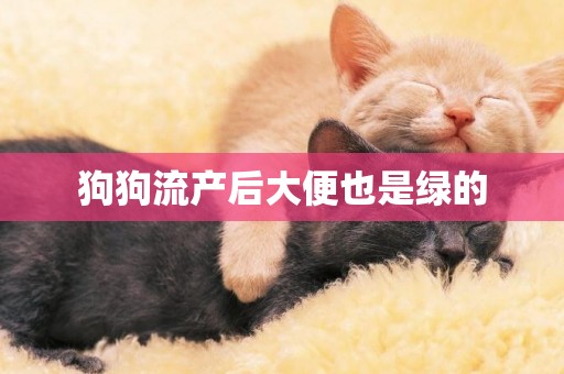 狗狗流產后大便也是綠的