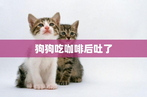 狗狗吃咖啡后吐了