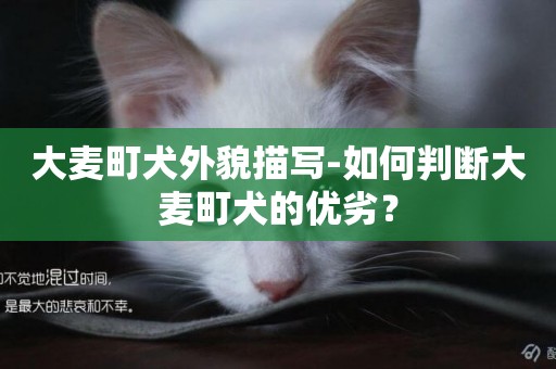 大麥町犬外貌描寫-如何判斷大麥町犬的優劣？