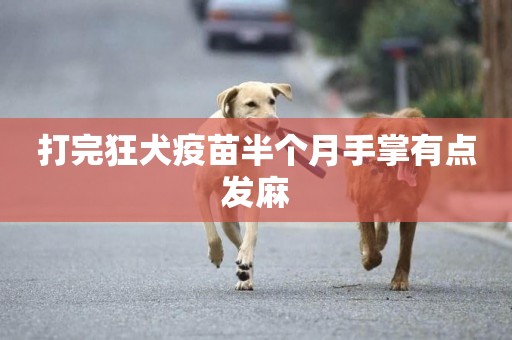 打完狂犬疫苗半個月手掌有點發麻