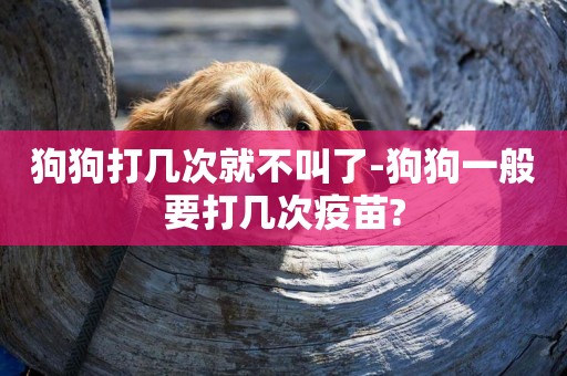 狗狗打幾次就不叫了-狗狗一般要打幾次疫苗?