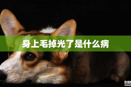 身上毛掉光了是什么病