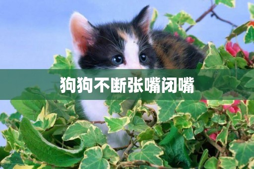 狗狗不斷張嘴閉嘴