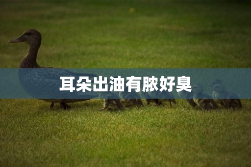 耳朵出油有膿好臭