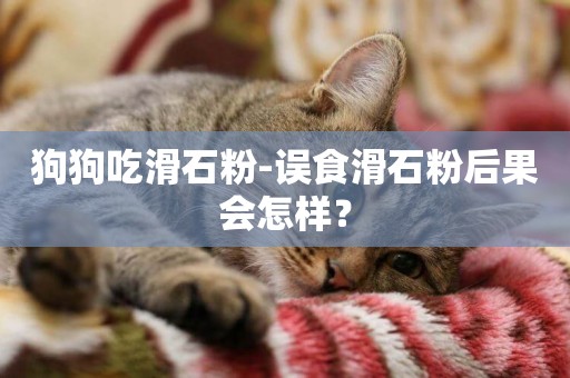 狗狗吃滑石粉-誤食滑石粉后果會怎樣？