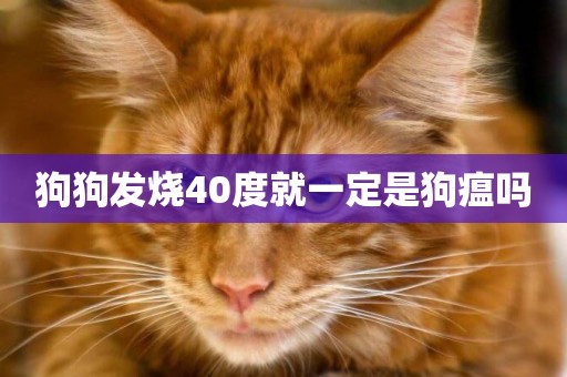 狗狗發燒40度就一定是狗瘟嗎