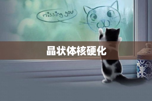 晶狀體核硬化
