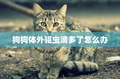 狗狗體外驅蟲滴多了怎么辦