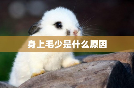 身上毛少是什么原因
