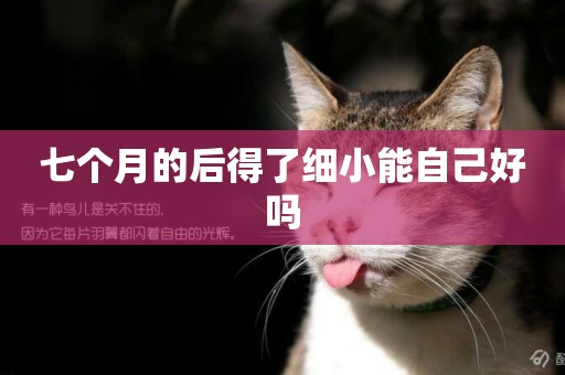 七個月的后得了細小能自己好嗎