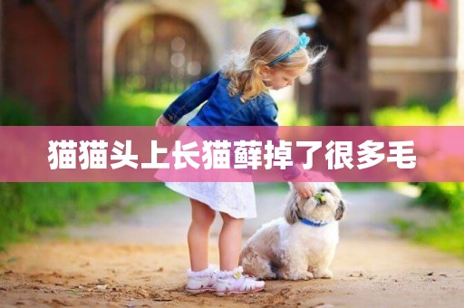 貓貓頭上長貓蘚掉了很多毛