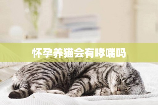 懷孕養貓會有哮喘嗎