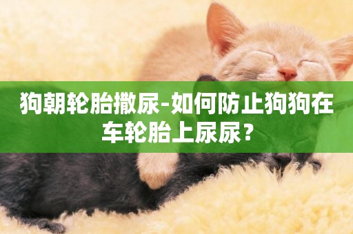 狗朝輪胎撒尿-如何防止狗狗在車輪胎上尿尿？
