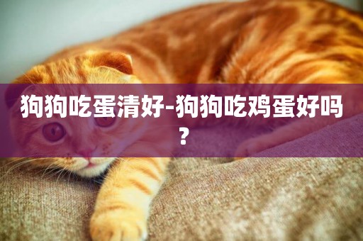狗狗吃蛋清好-狗狗吃雞蛋好嗎？