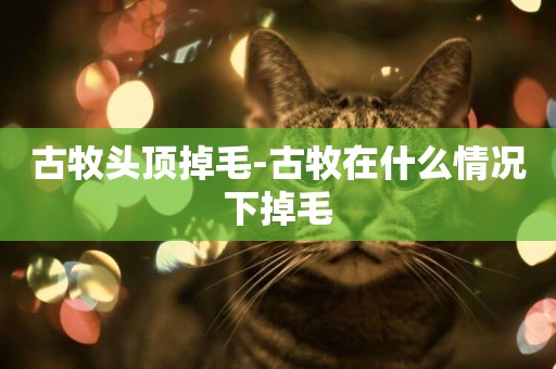 古牧頭頂掉毛-古牧在什么情況下掉毛