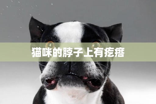 貓咪的脖子上有疙瘩