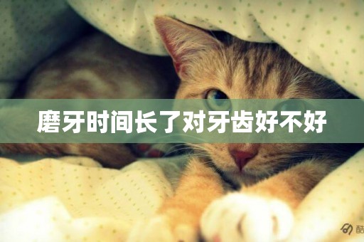 磨牙時間長了對牙齒好不好