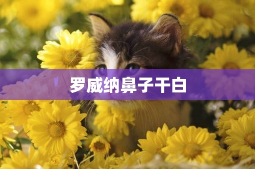 羅威納鼻子干白