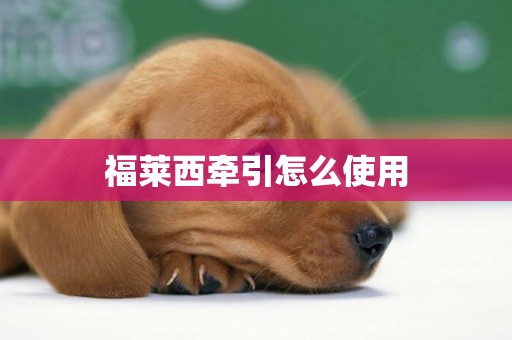 福萊西牽引怎么使用