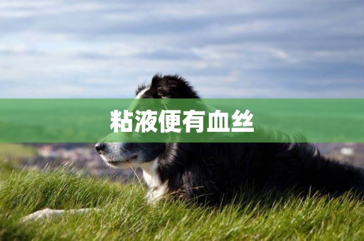 粘液便有血絲