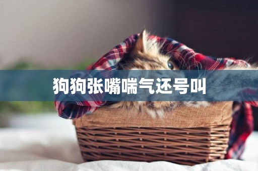 狗狗張嘴喘氣還號叫