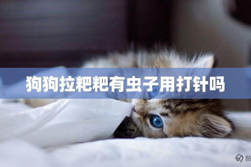 狗狗拉粑粑有蟲子用打針嗎