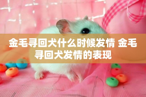 金毛尋回犬什么時候發情 金毛尋回犬發情的表現