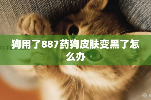 狗用了887藥狗皮膚變黑了怎么辦