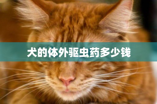 犬的體外驅蟲藥多少錢