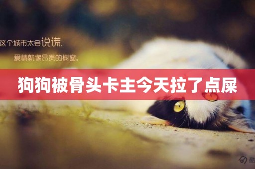 狗狗被骨頭卡主今天拉了點屎