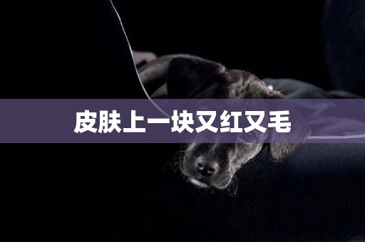 皮膚上一塊又紅又毛