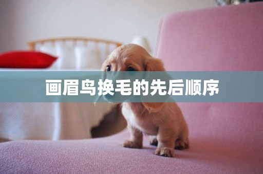 畫眉鳥換毛的先后順序