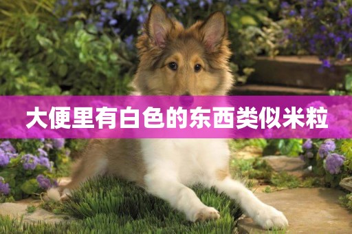 大便里有白色的東西類似米粒