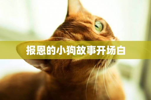 報恩的小狗故事開場白